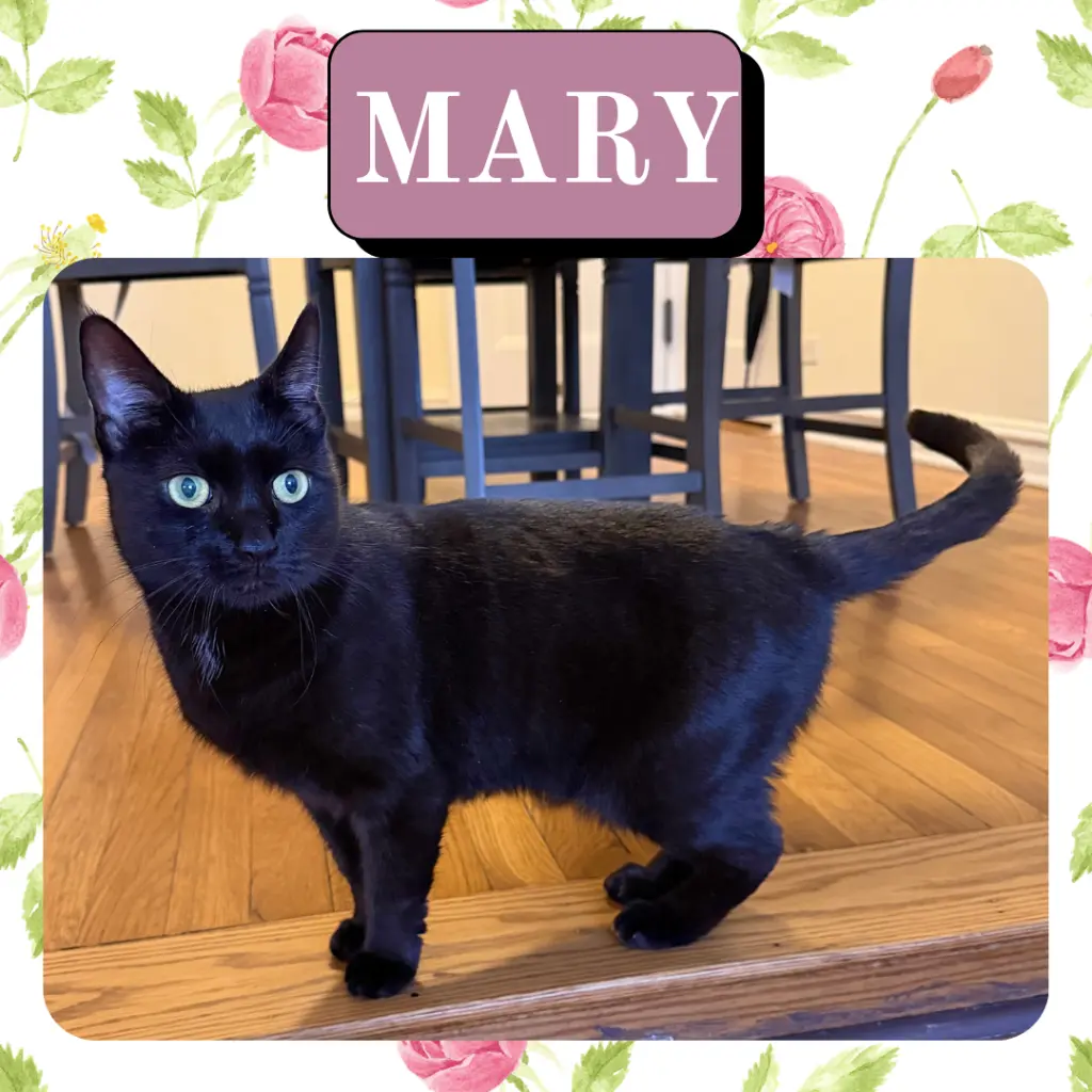 Mary