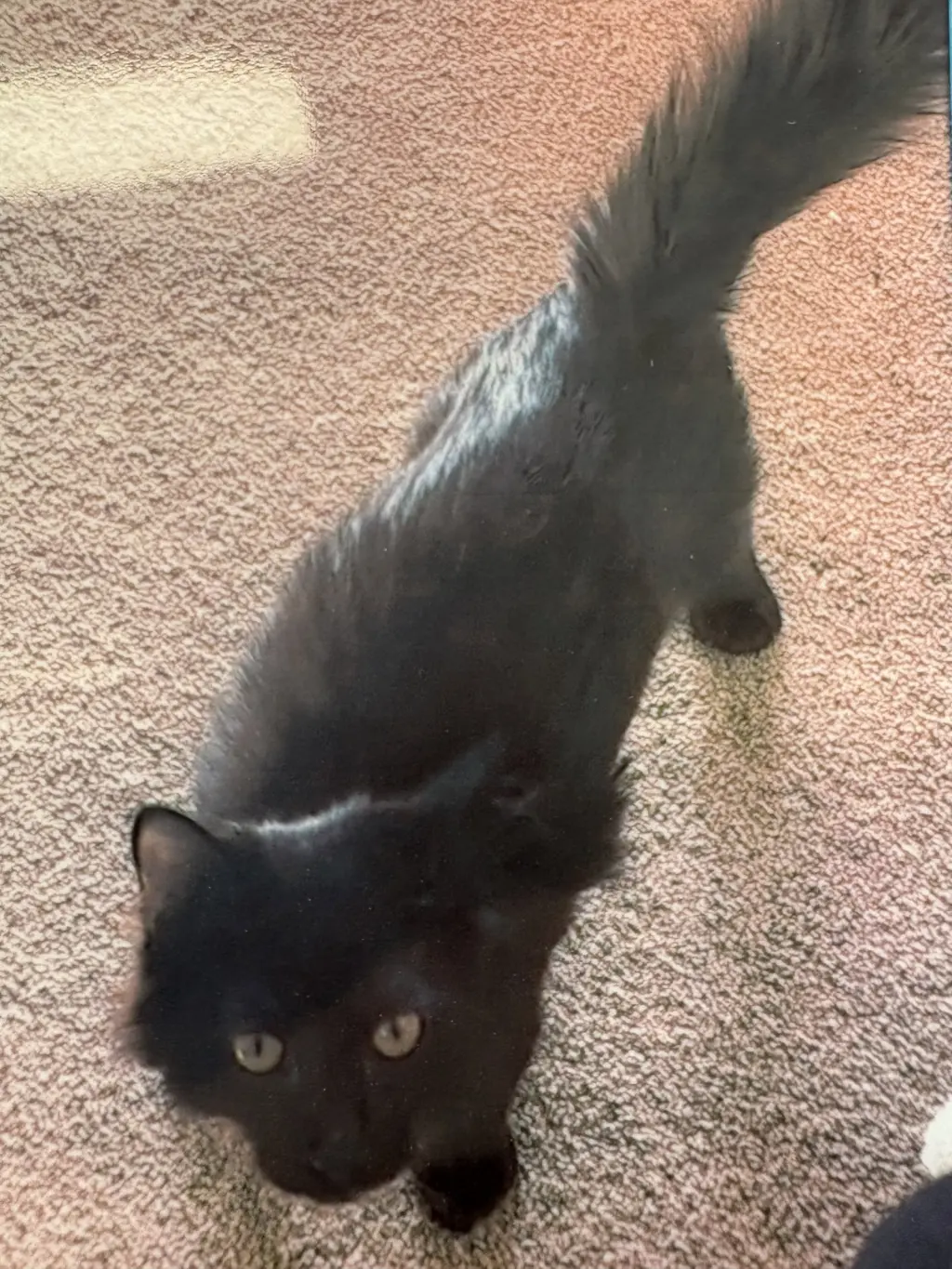 Ted
