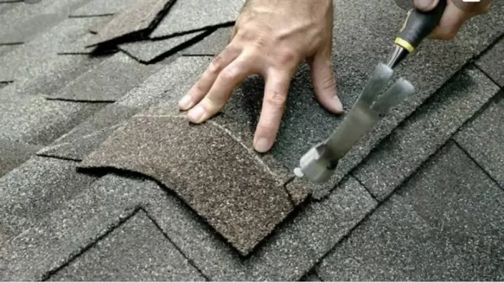 Roof
