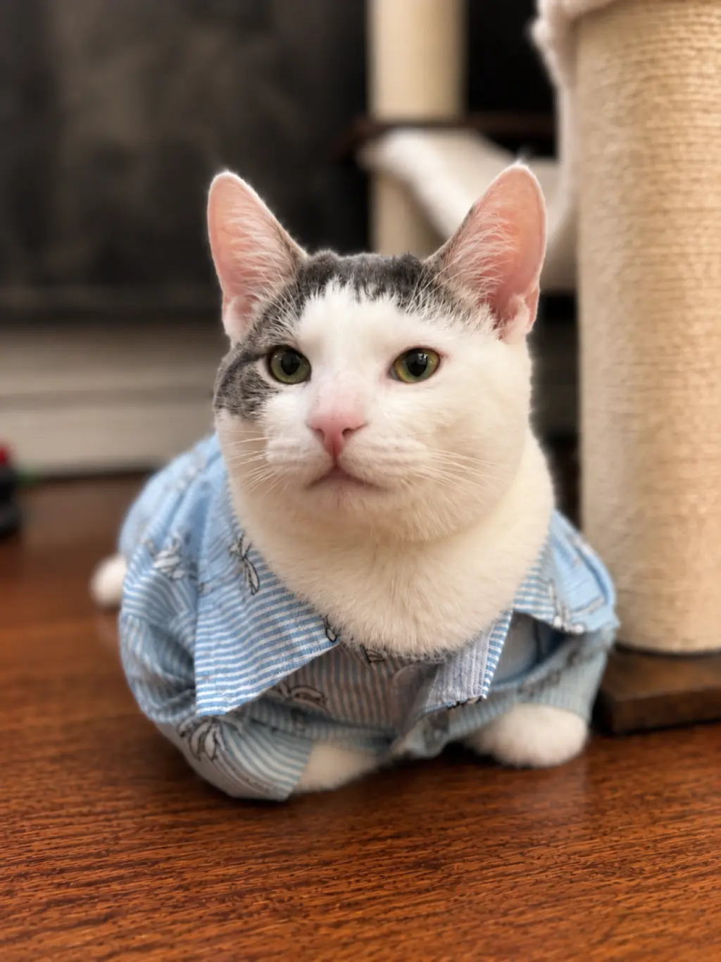 Whiskey