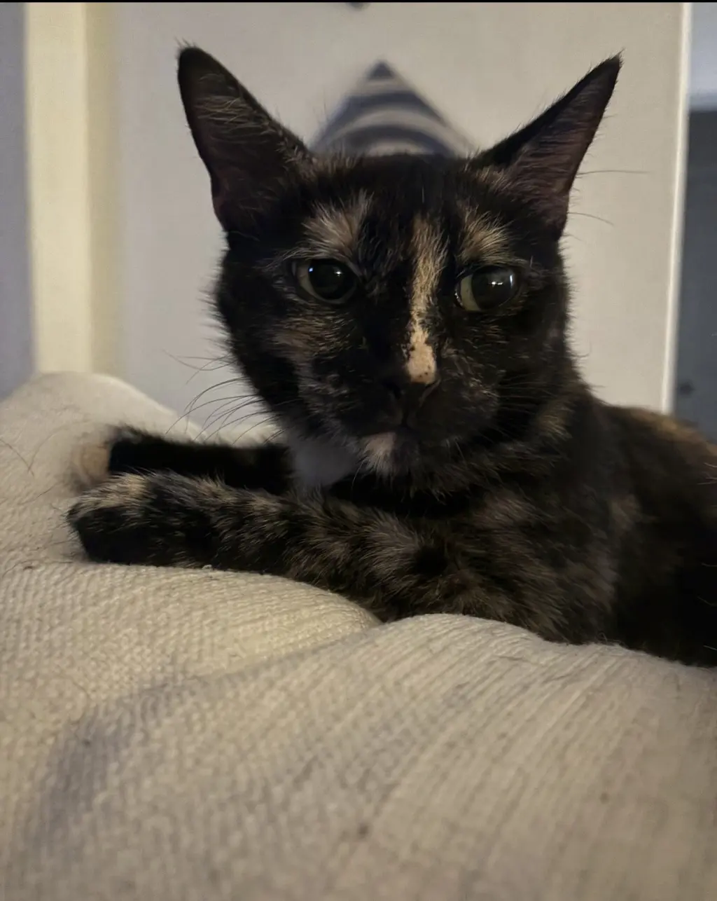 Jade
