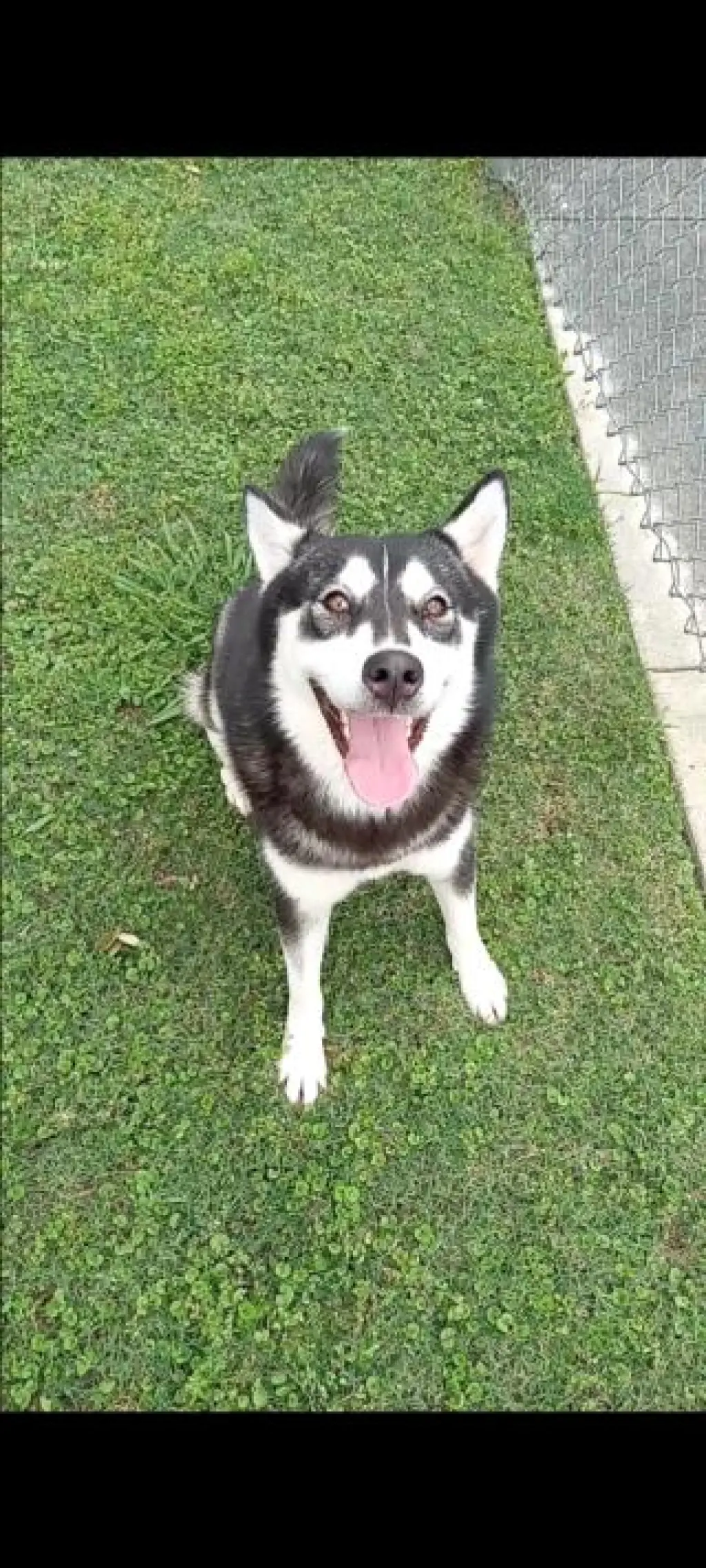 JUNO