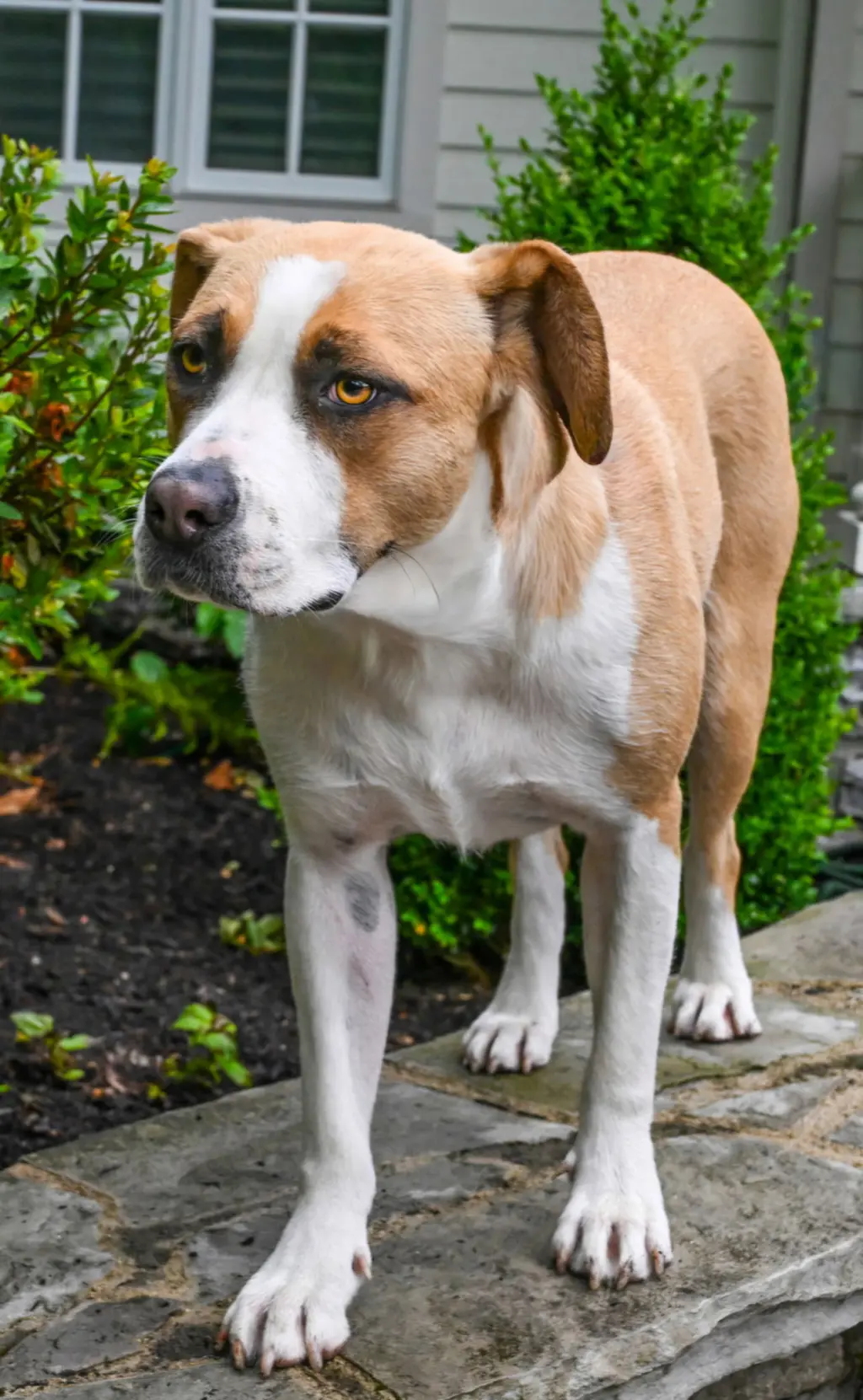 RUTHIE