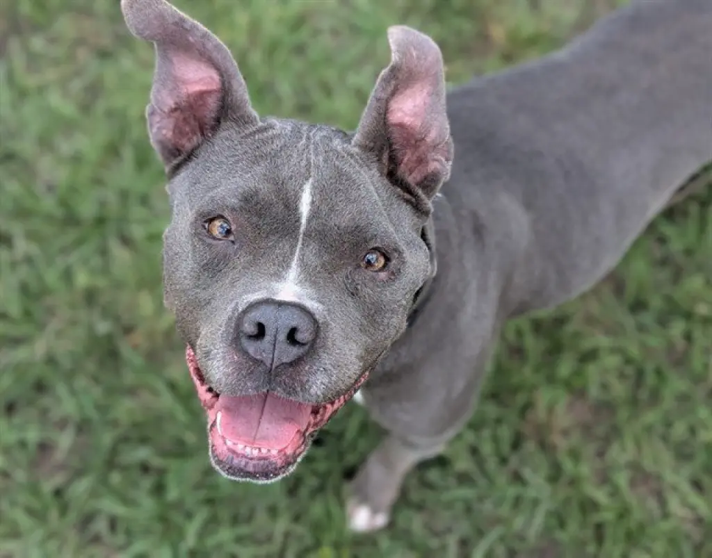 ELLIE MAE