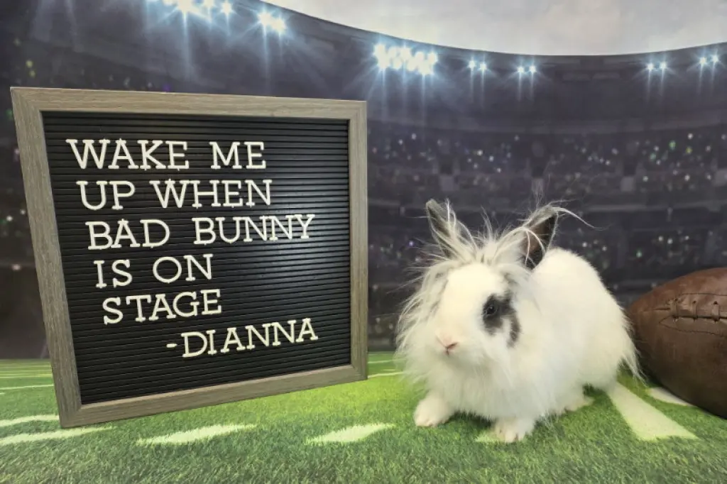 Dianna