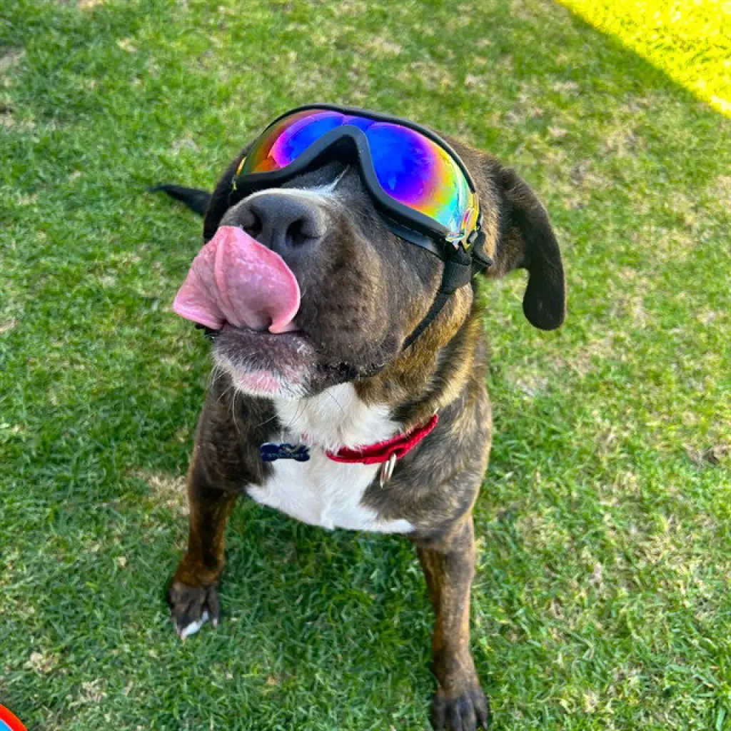 *ROSCO