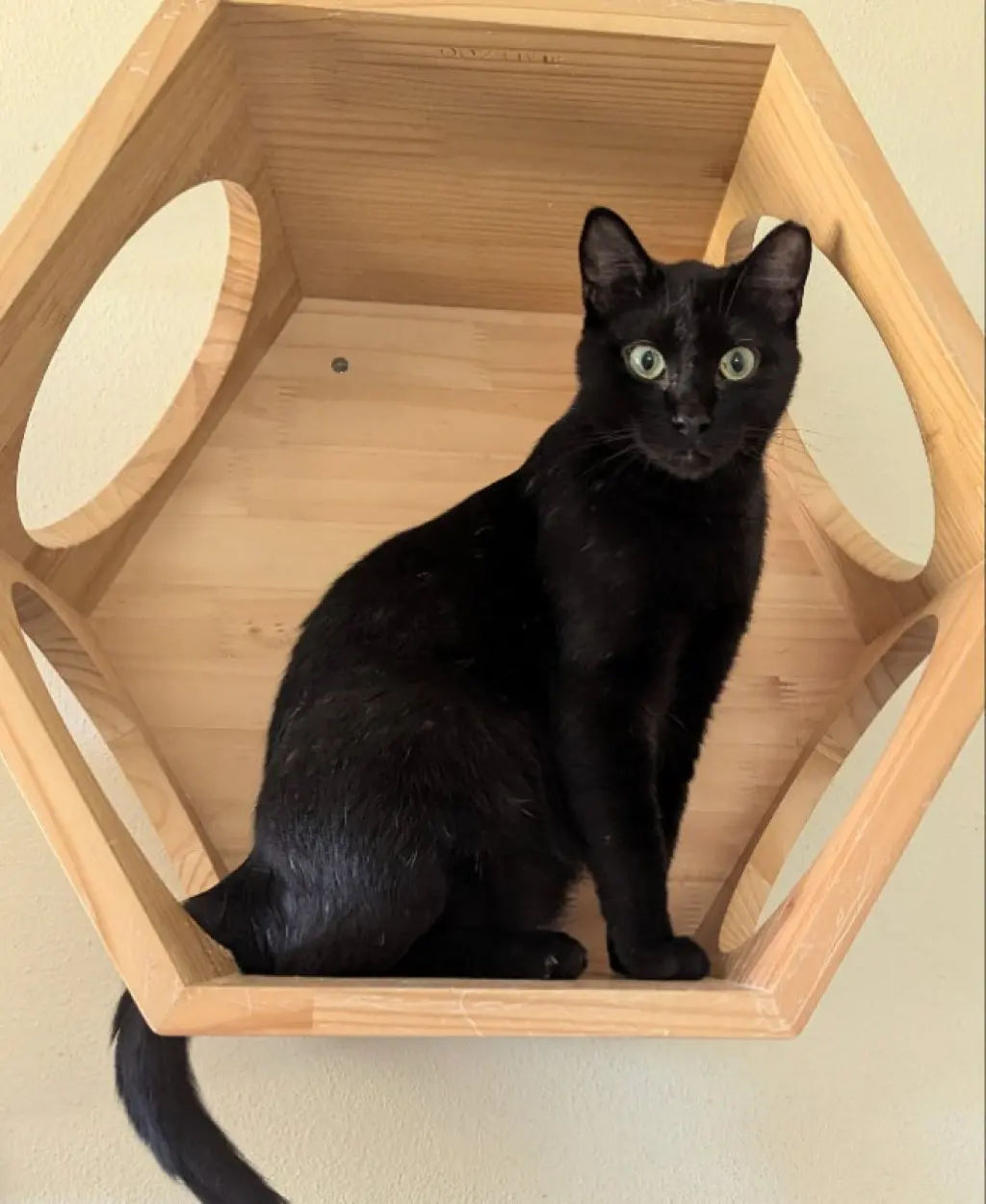 Kona