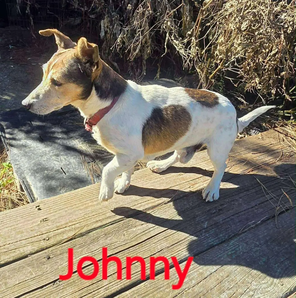 Johnny *