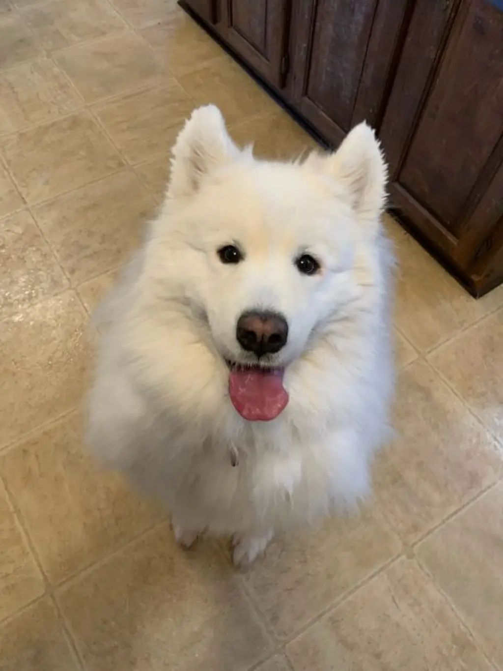 Kylee