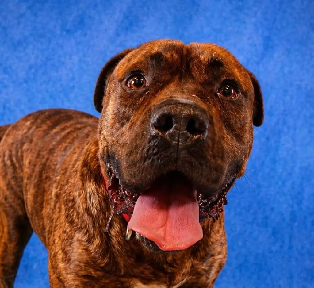 FRANKLIN