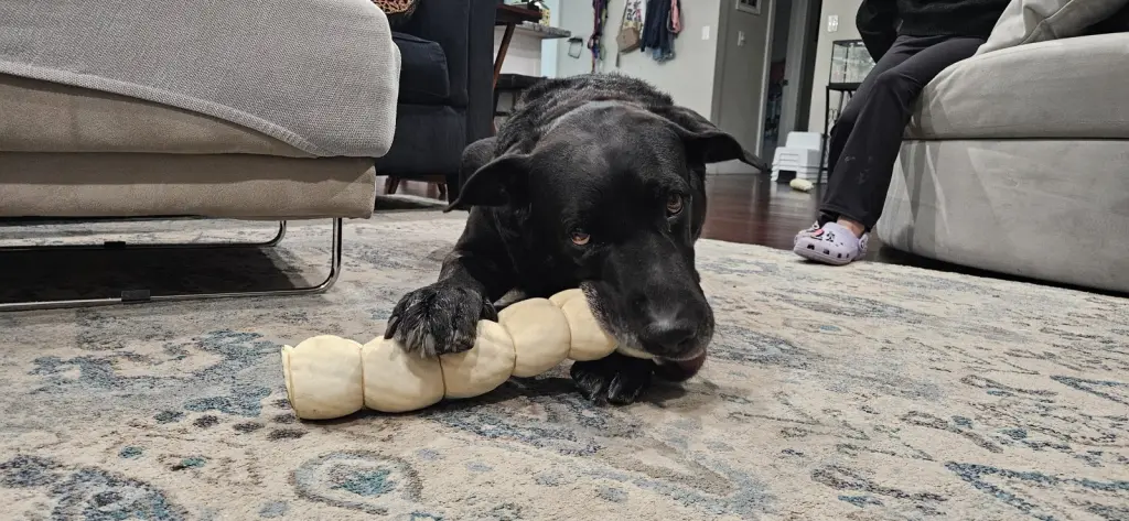 COURTESY POST: Duke