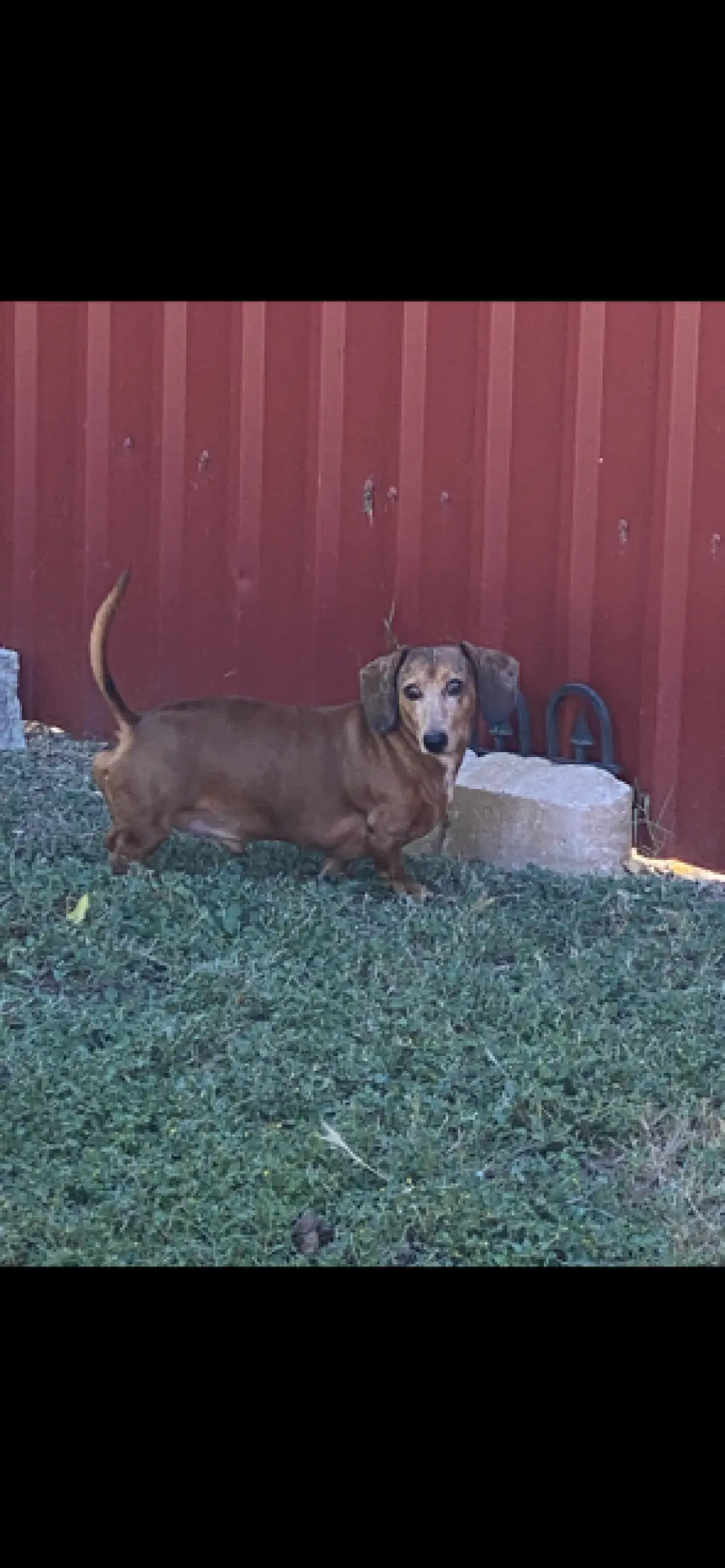 Spencer