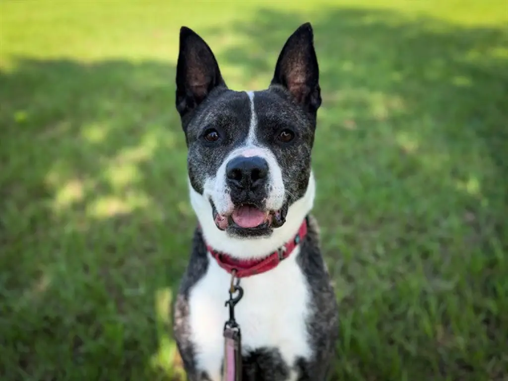 WALTER