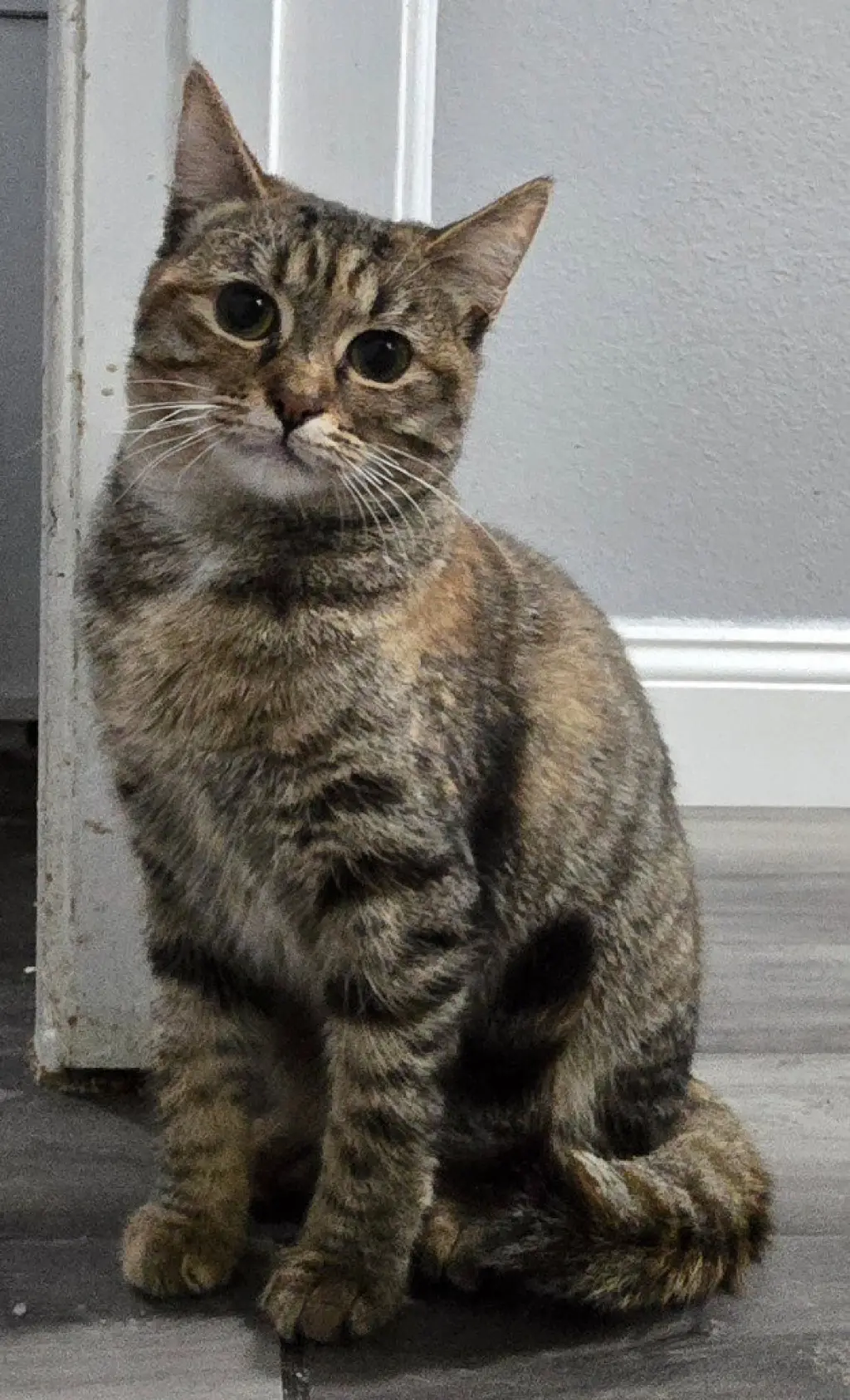 Rosie