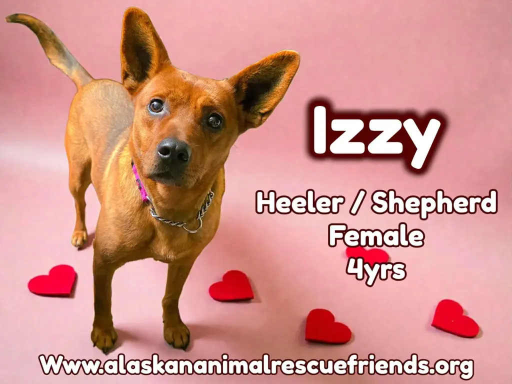 Izzy