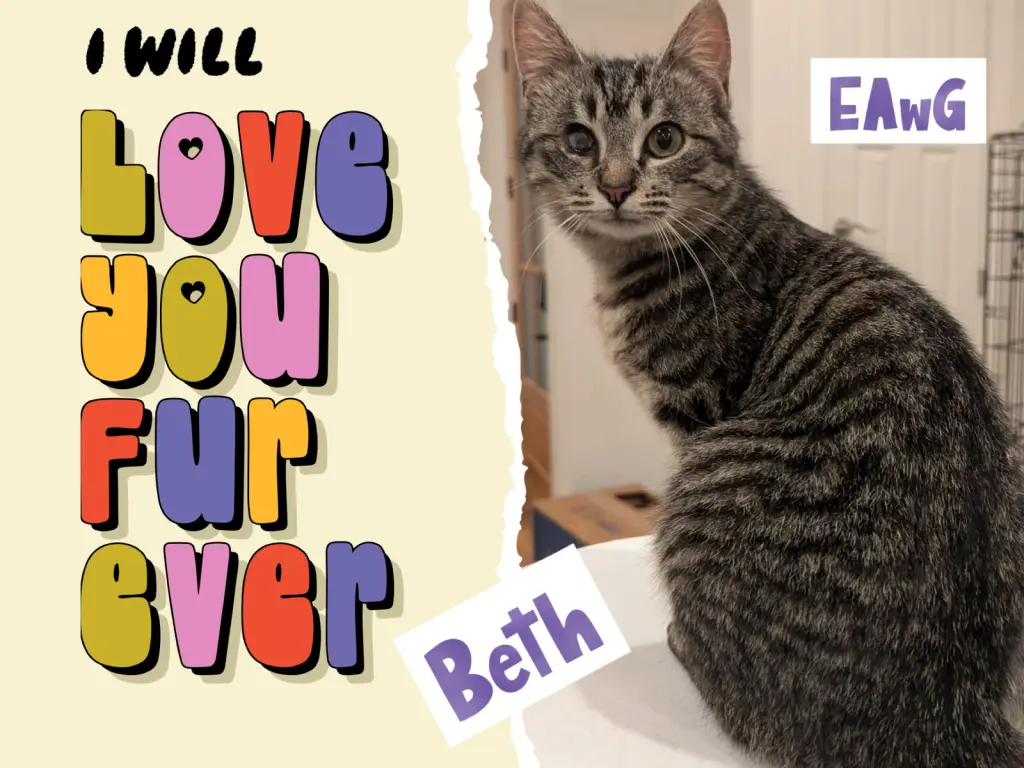 Beth