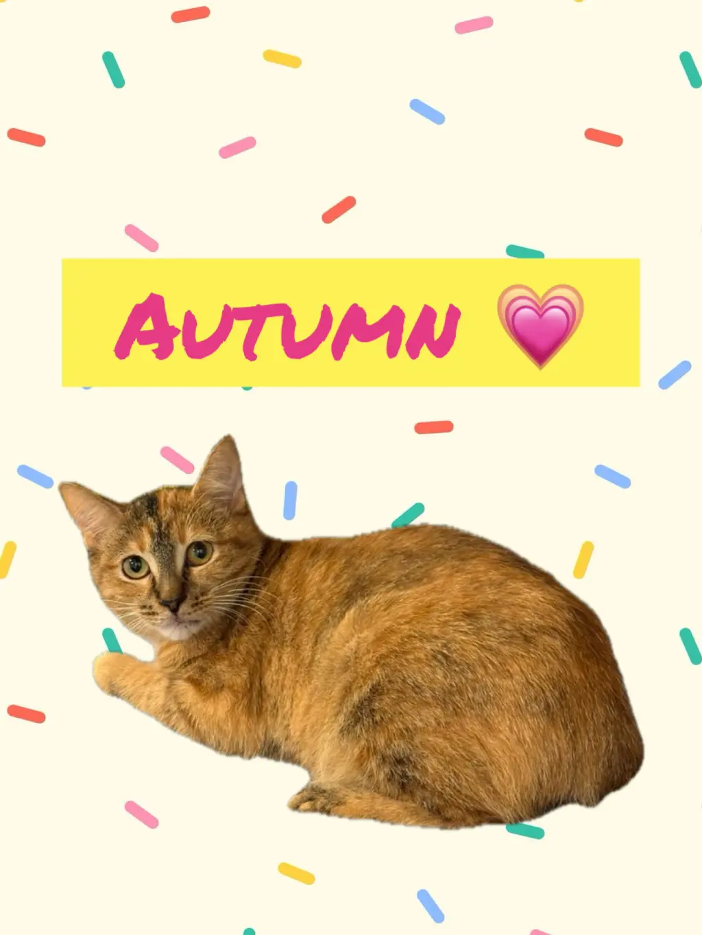 Autumn