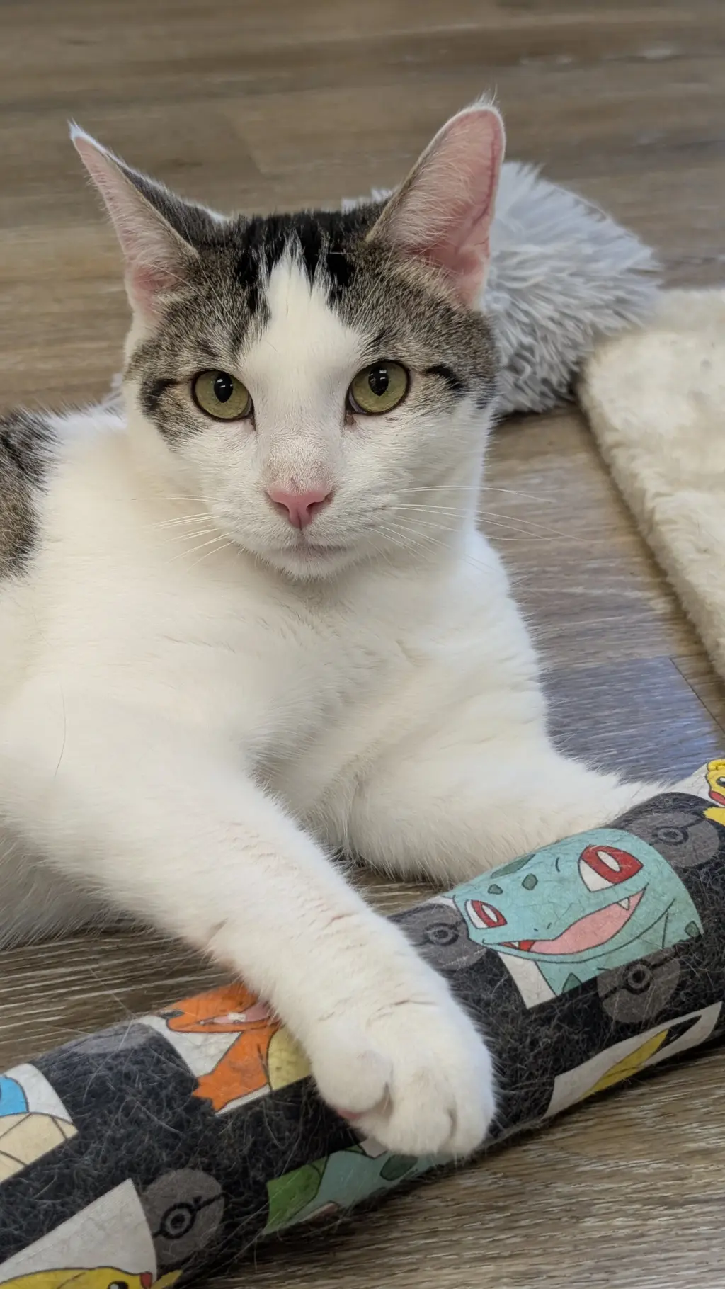 Louie