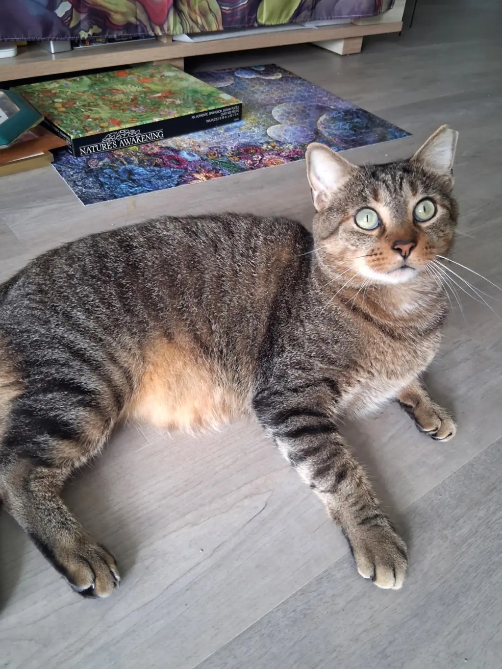 Sammy