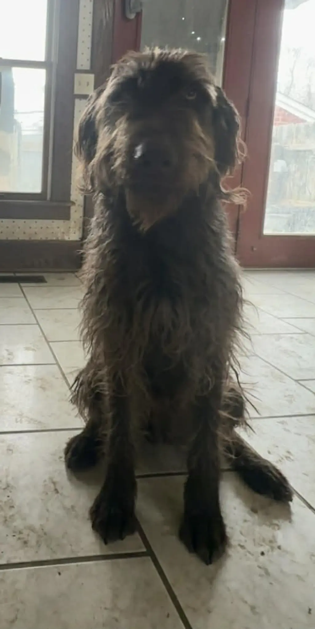 Leroy