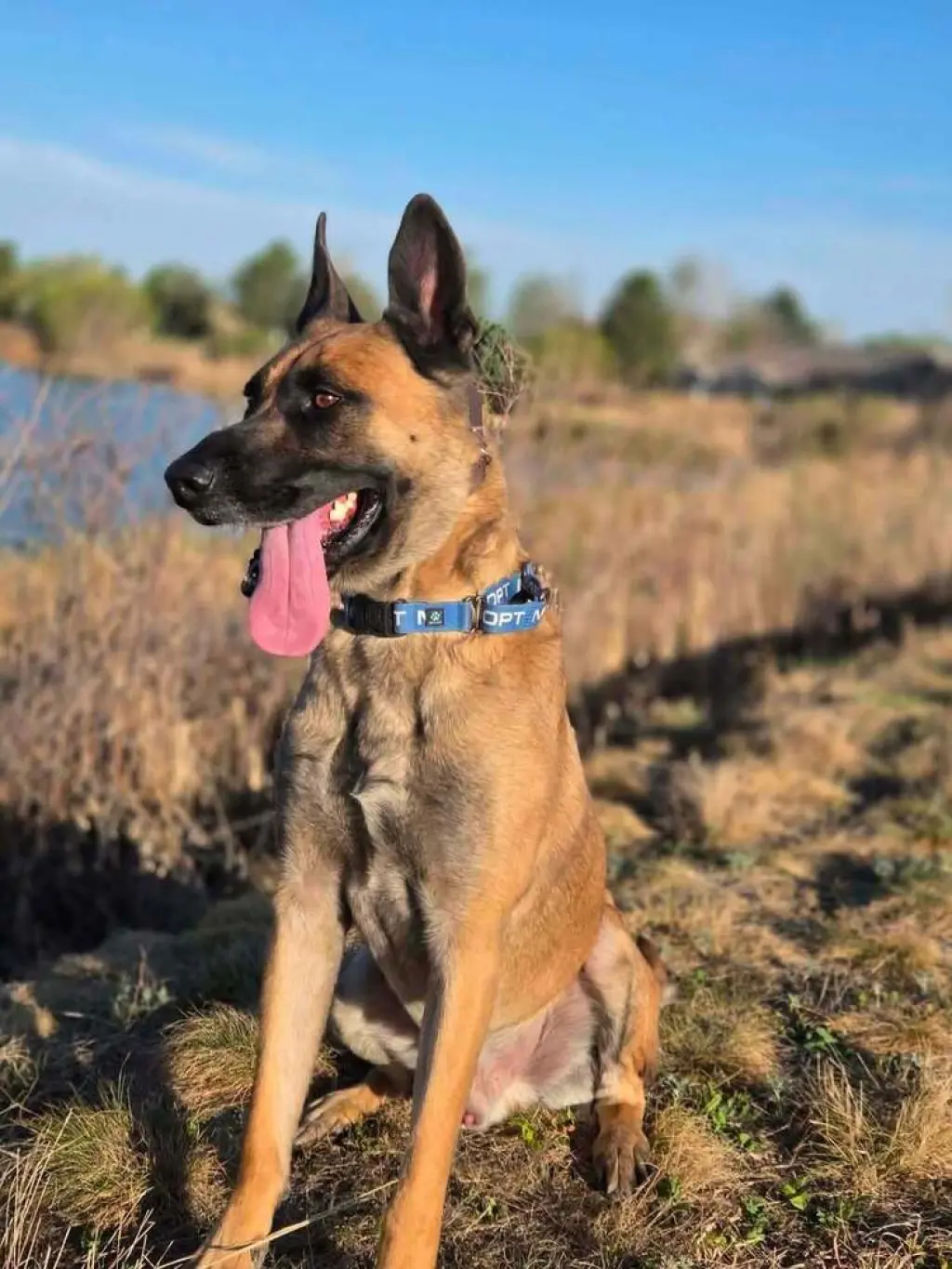 Arthur - Located in OK