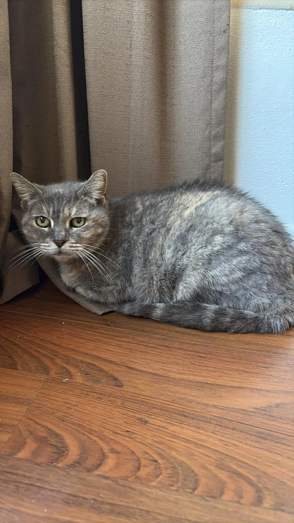 Graycee