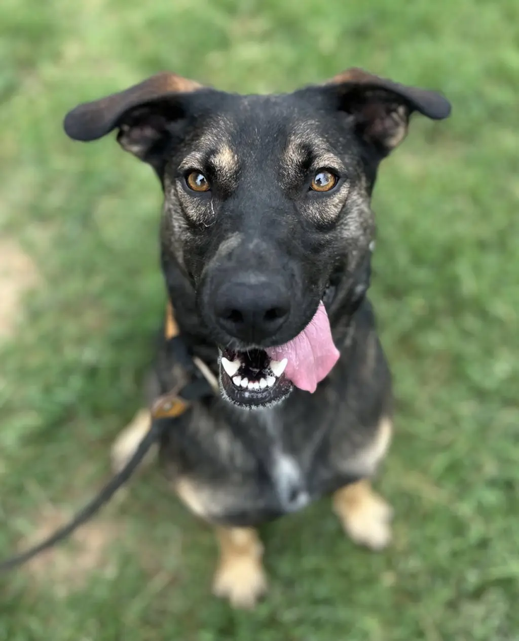 Zora "Hazel