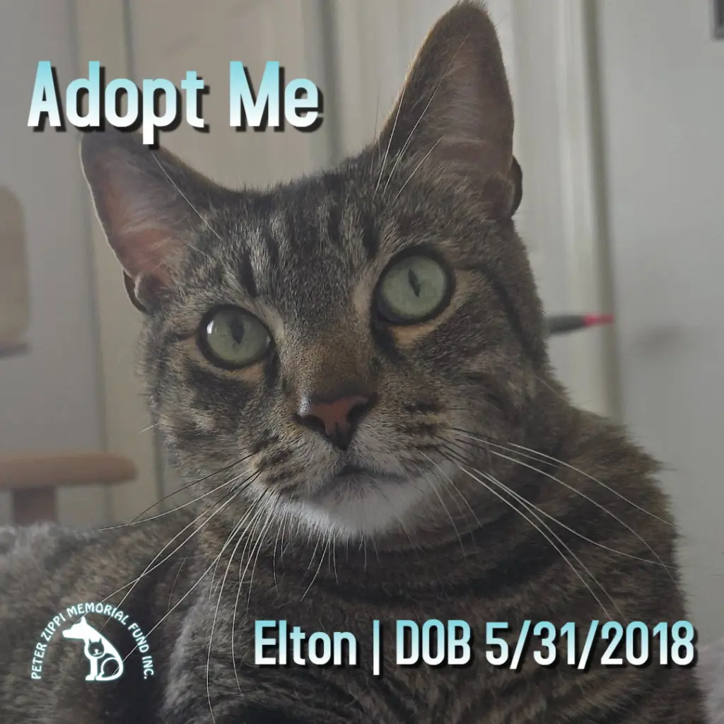 Elton
