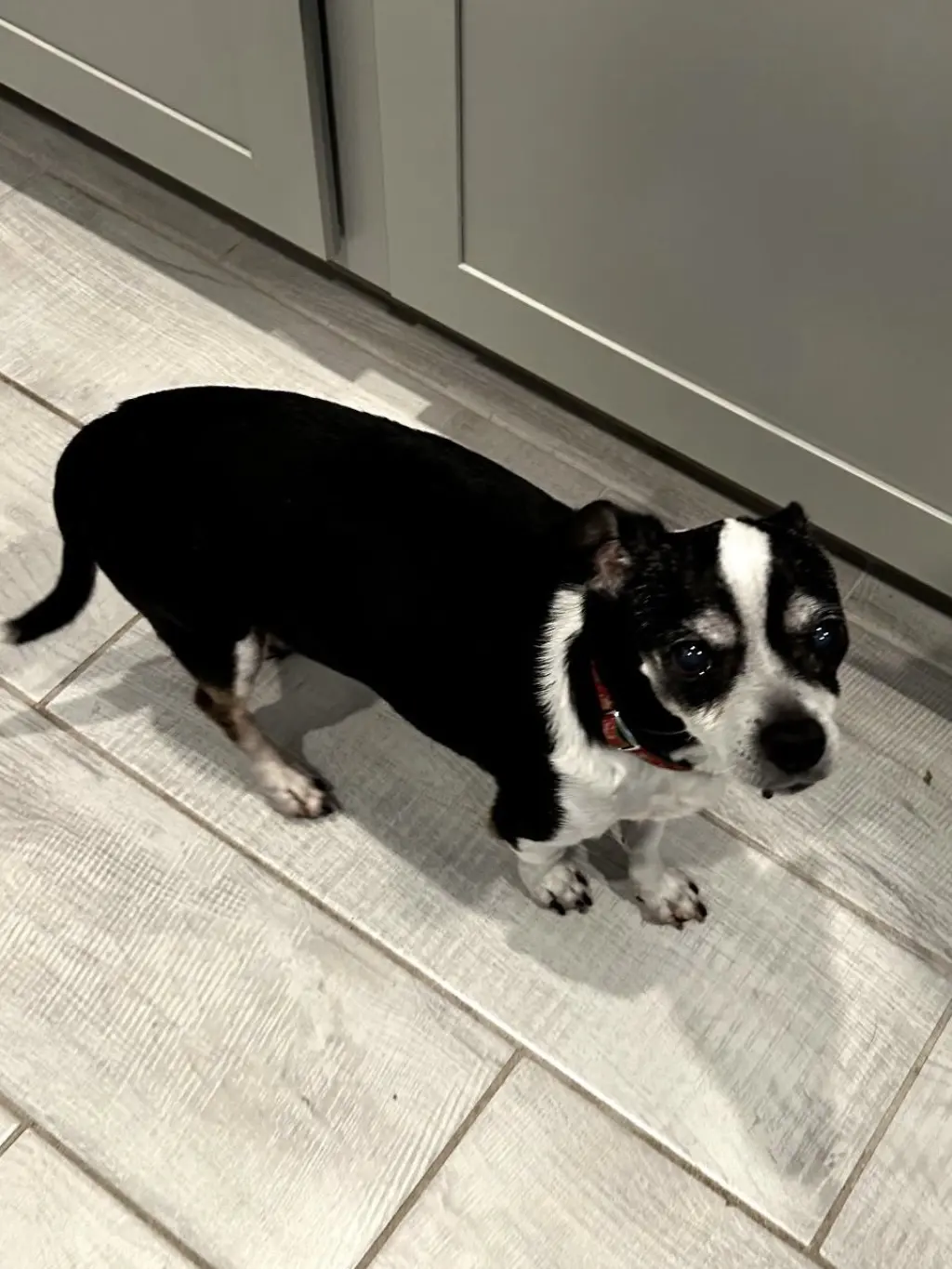 CHARLIE