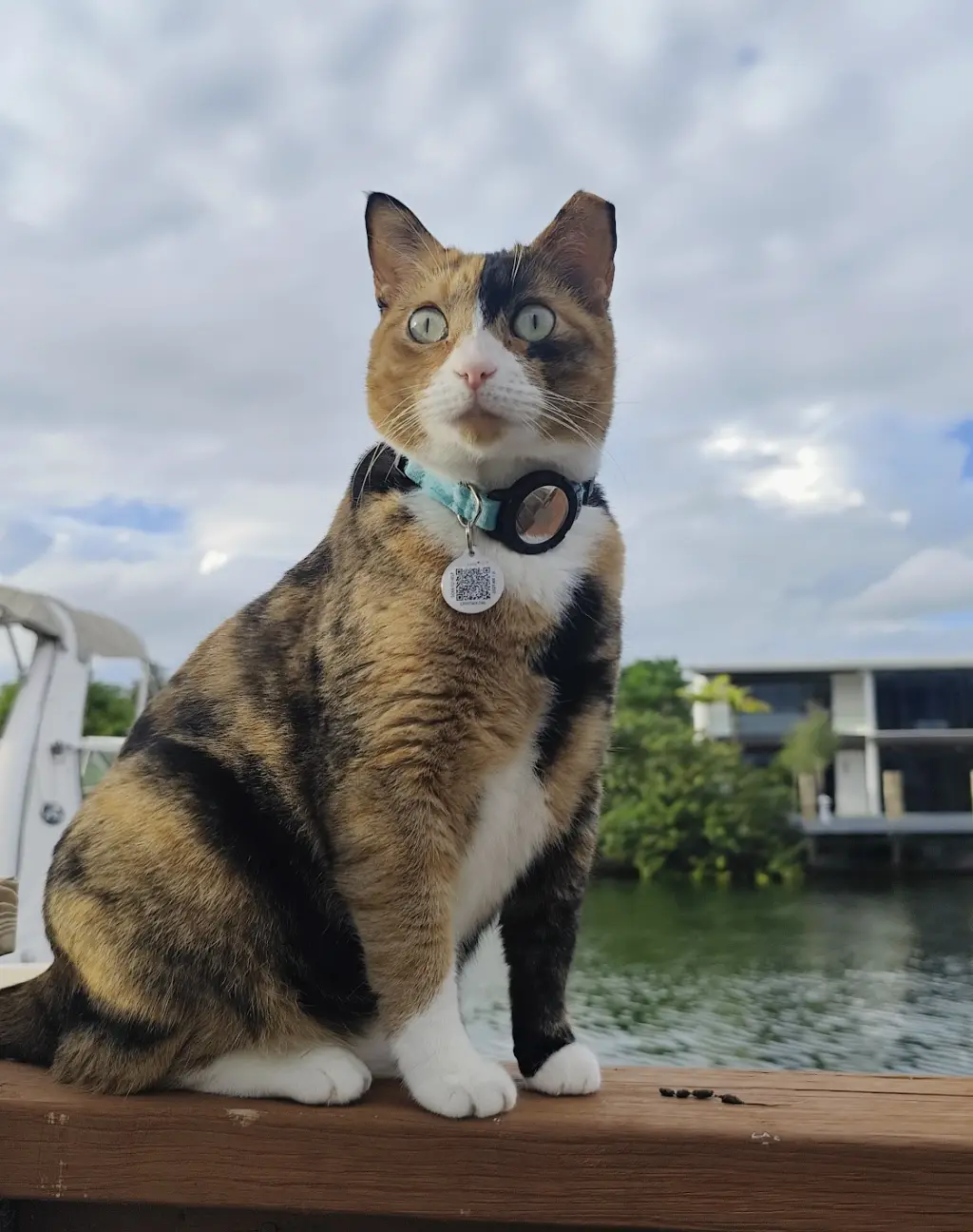 COURTESY POST: Lucy