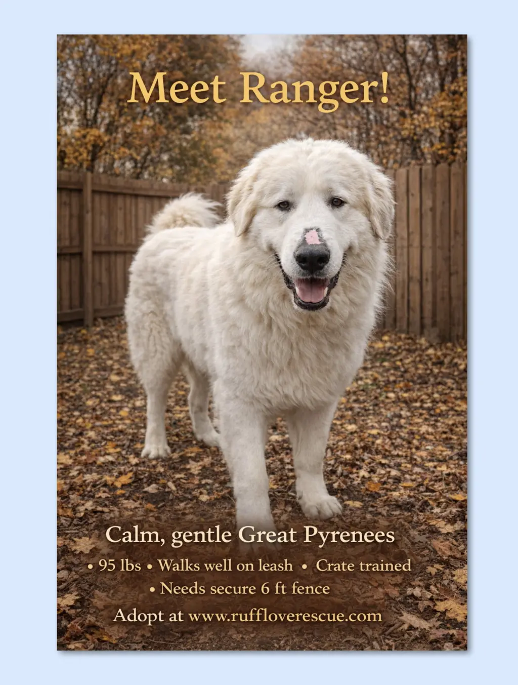 Ranger