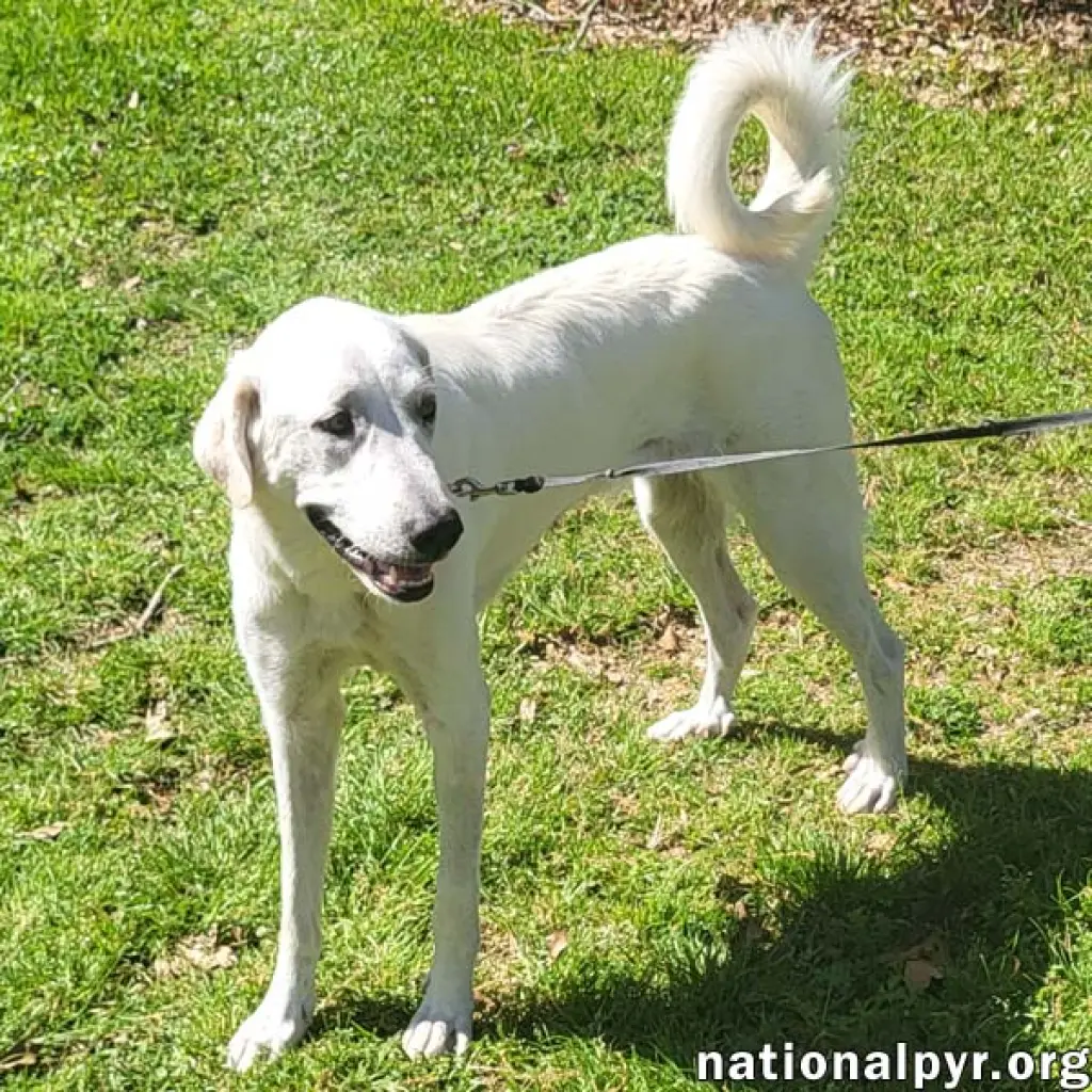 Lady in LA - Sweet, Sassy & Playful!