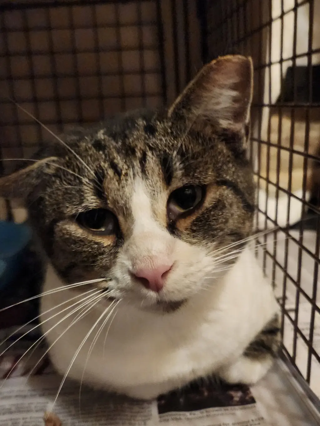 Dennis (aka Sly)