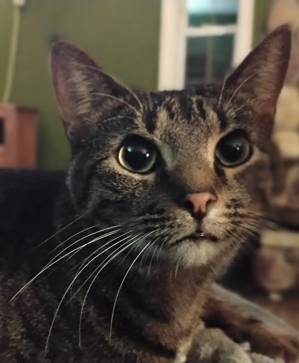 Harvey