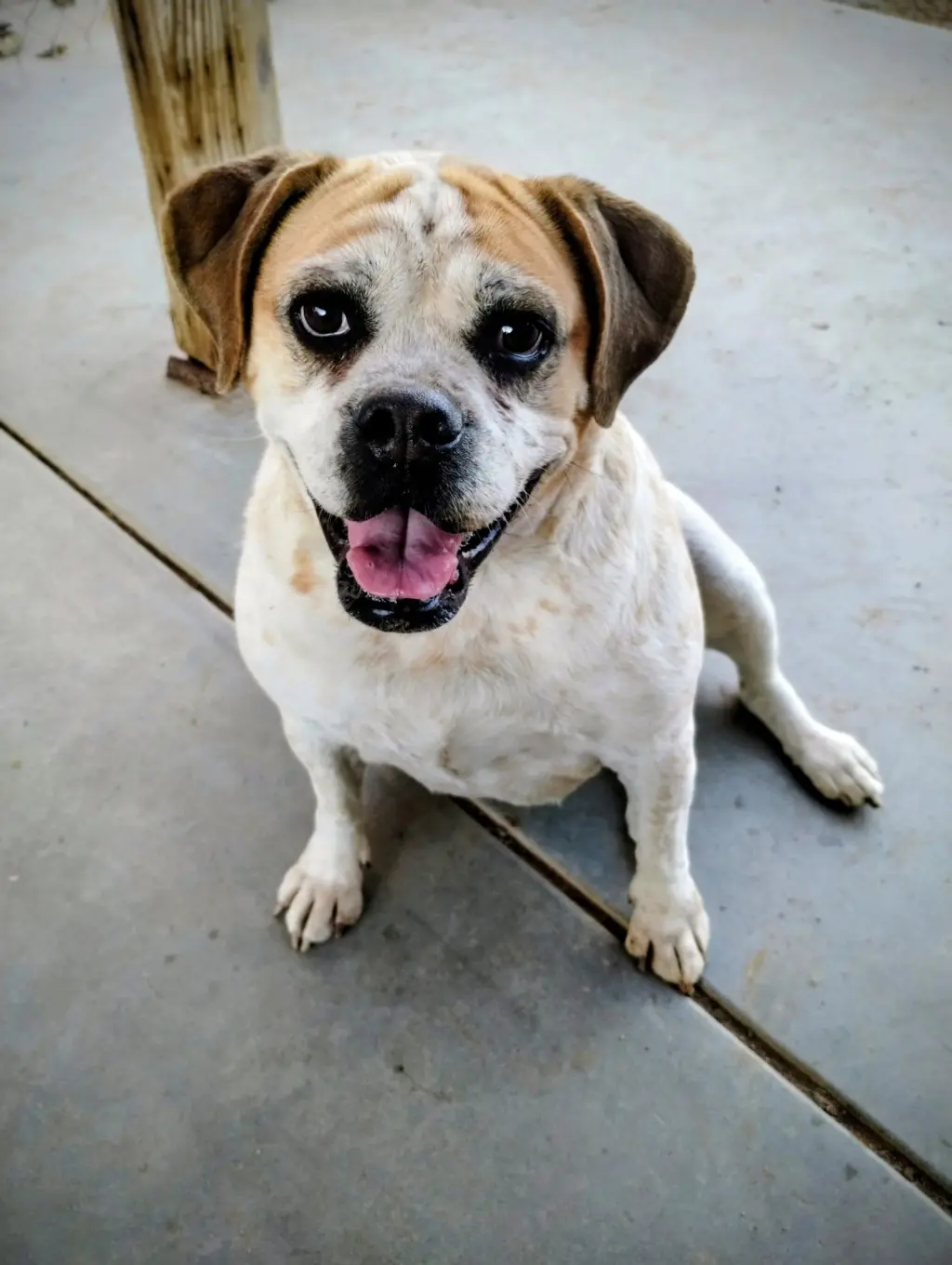 Fiona