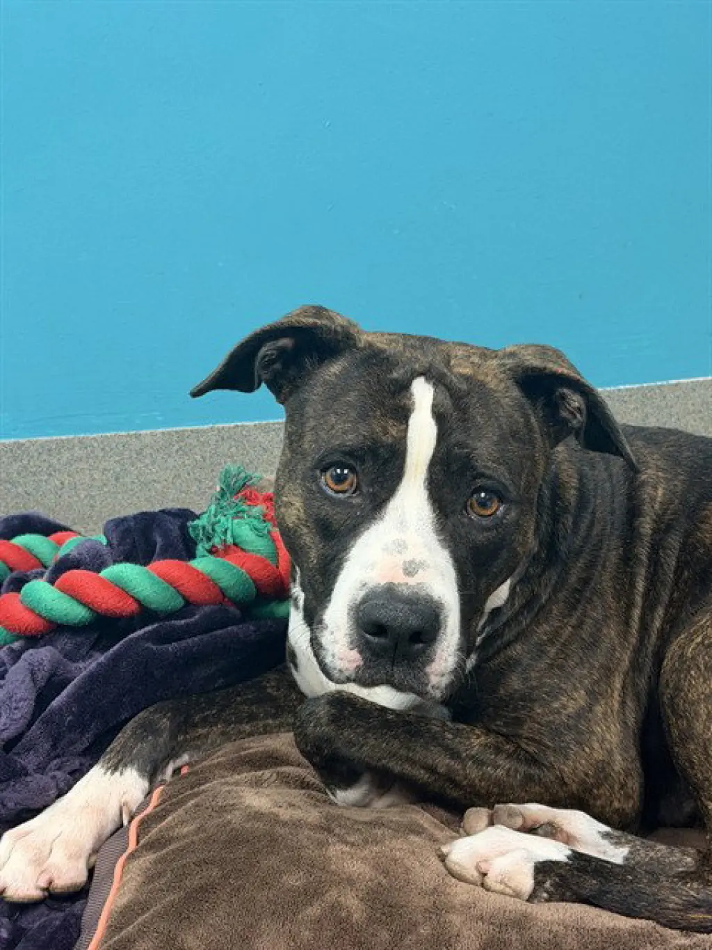ELEVEN