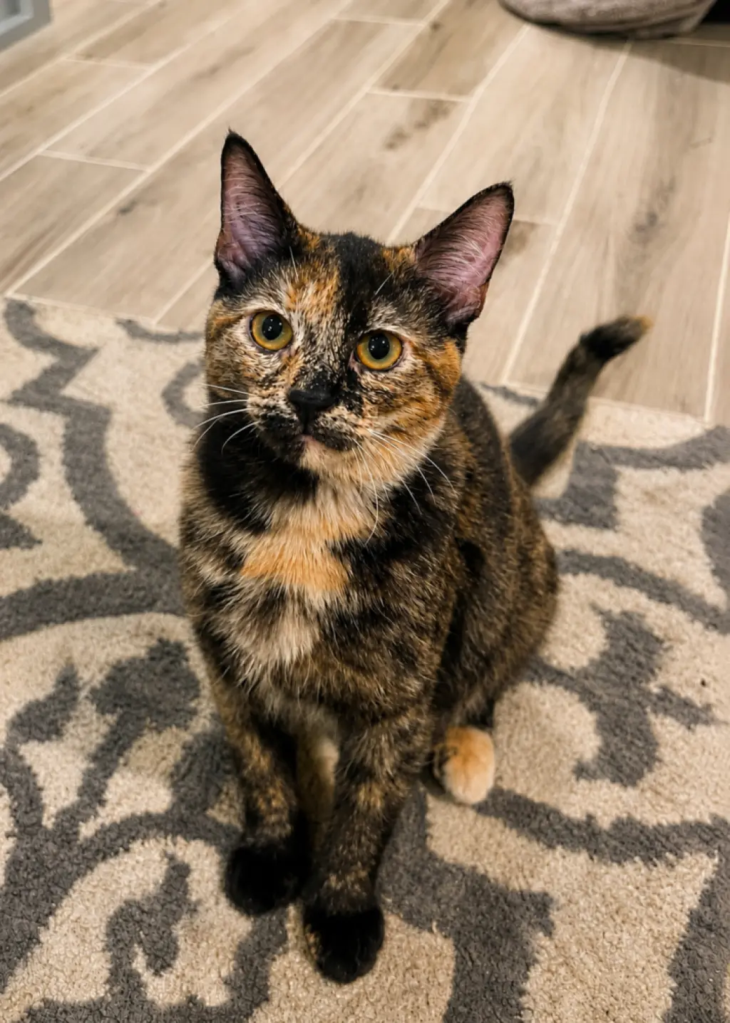 Freya (aka Luna)