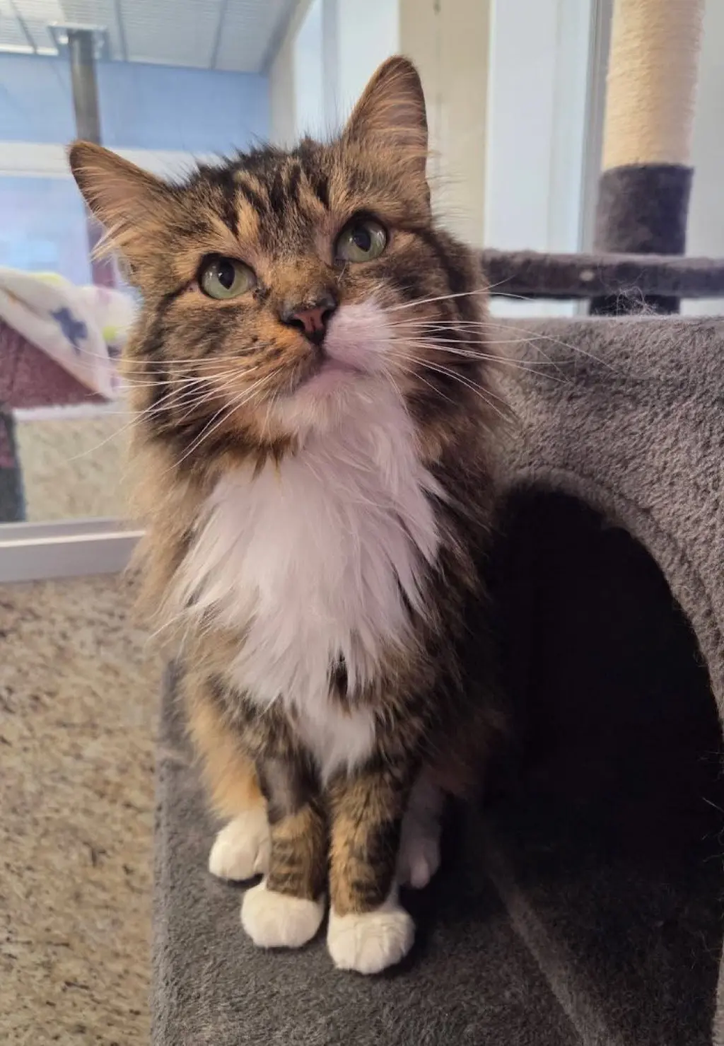 George