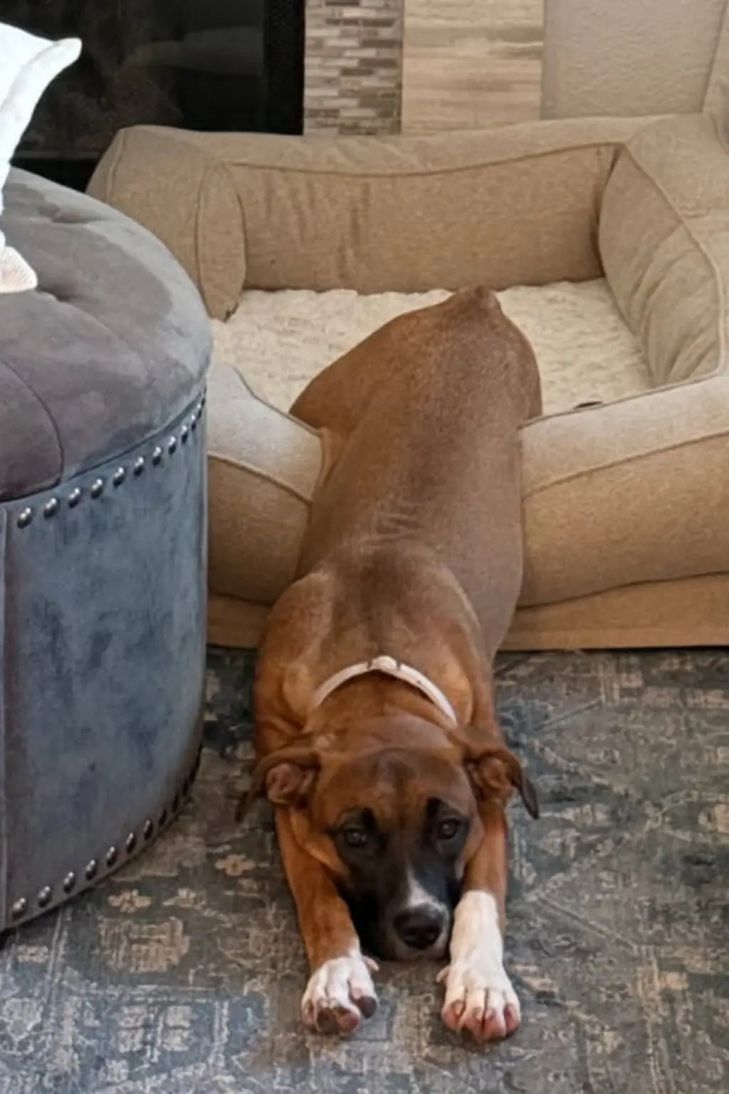 Molly Mae