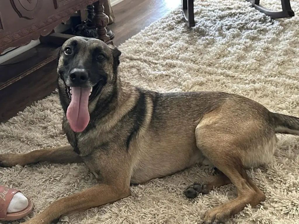 Lexy located in NM