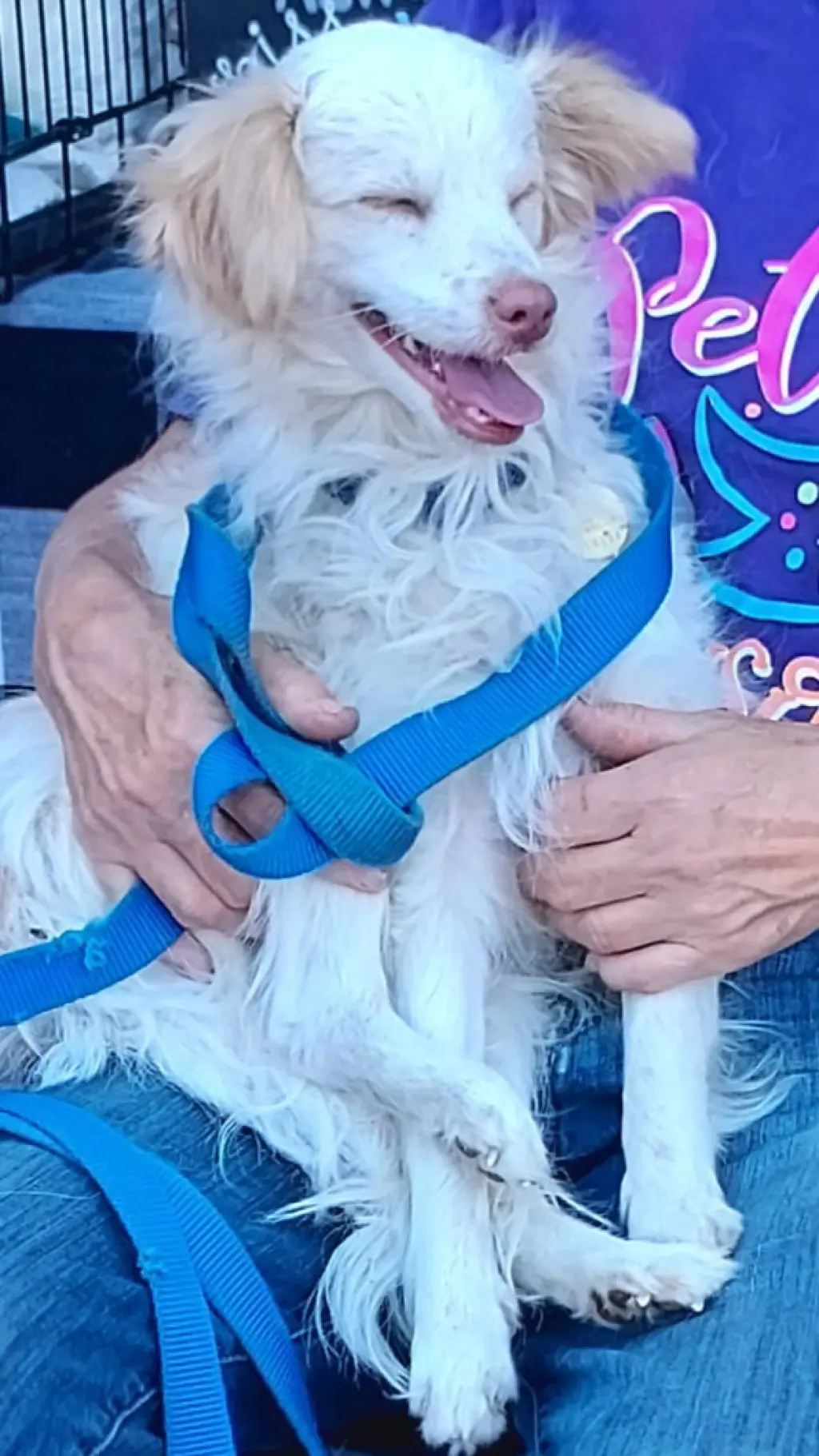 Benny