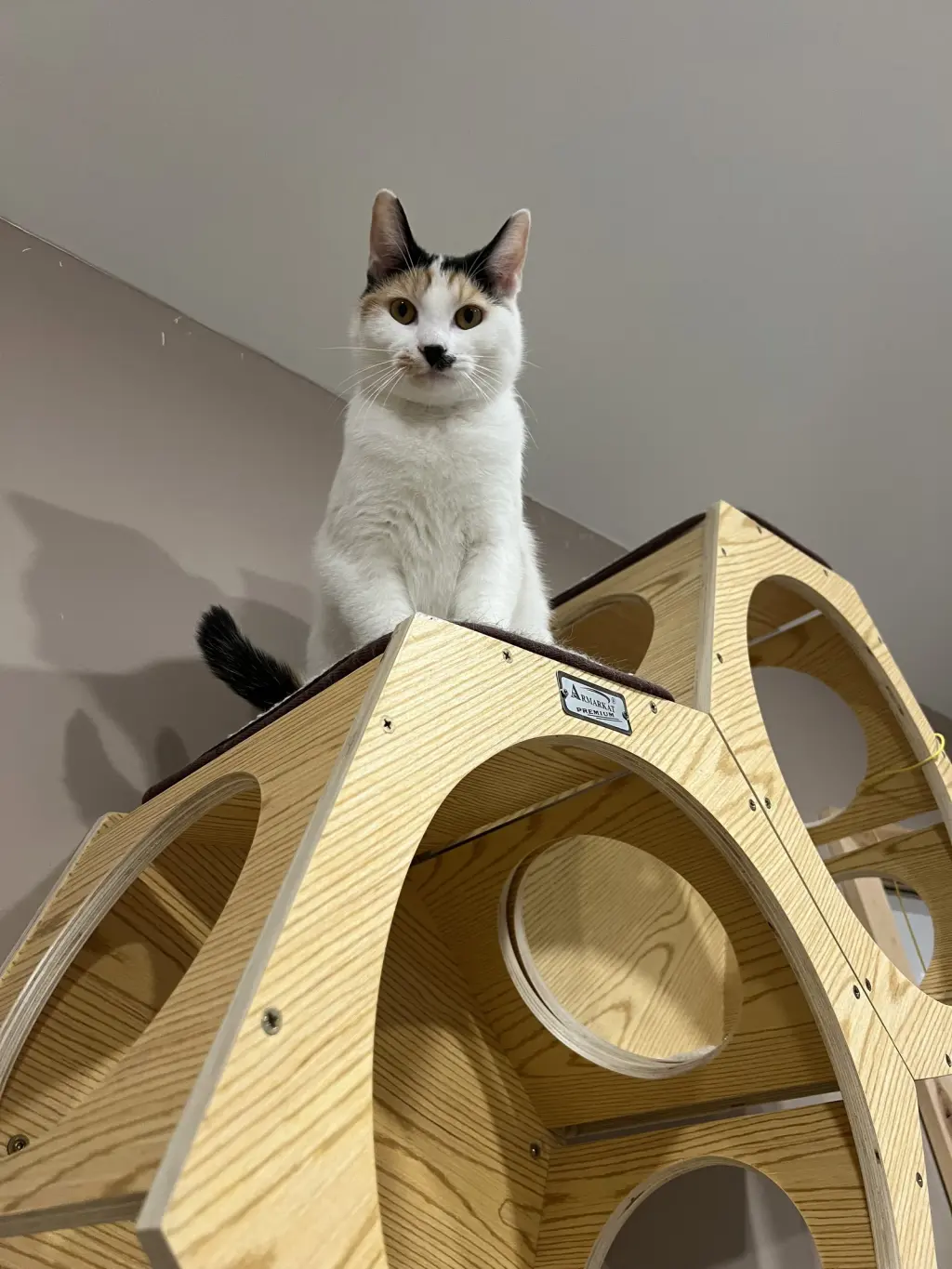 Chloe