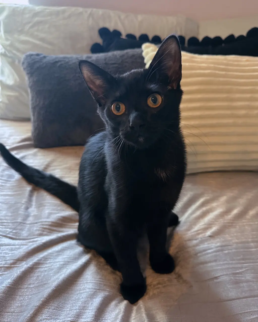 Salem
