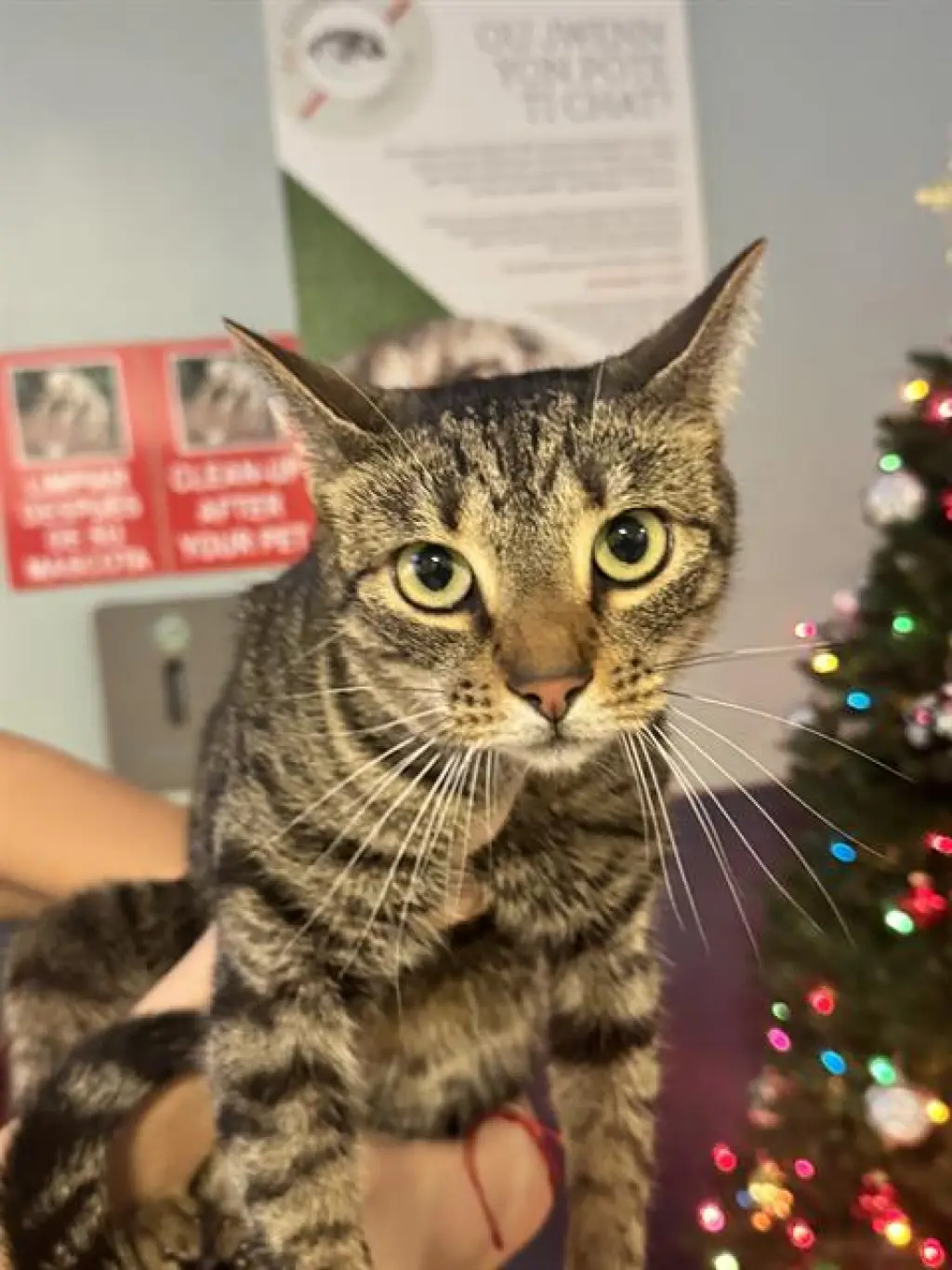 NALA