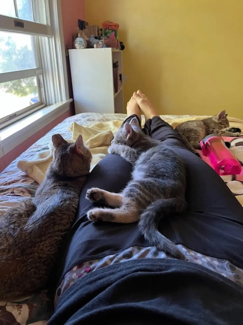 Trixter (bonded with Journey)