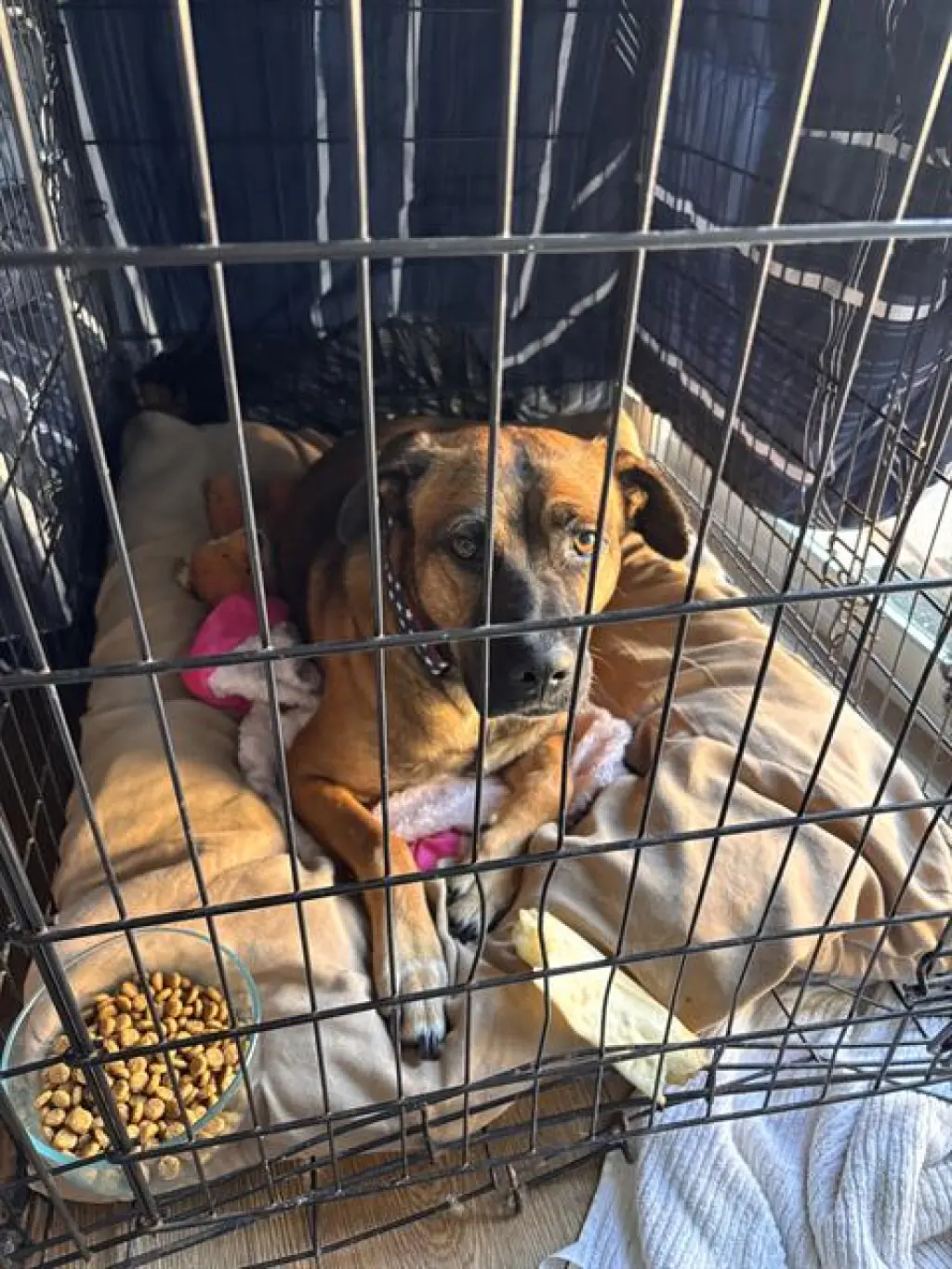 *HOUSTON
