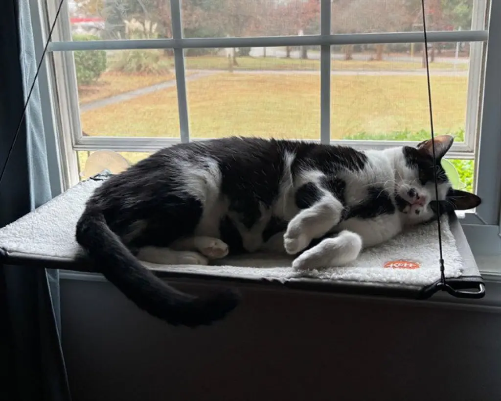 PORTER