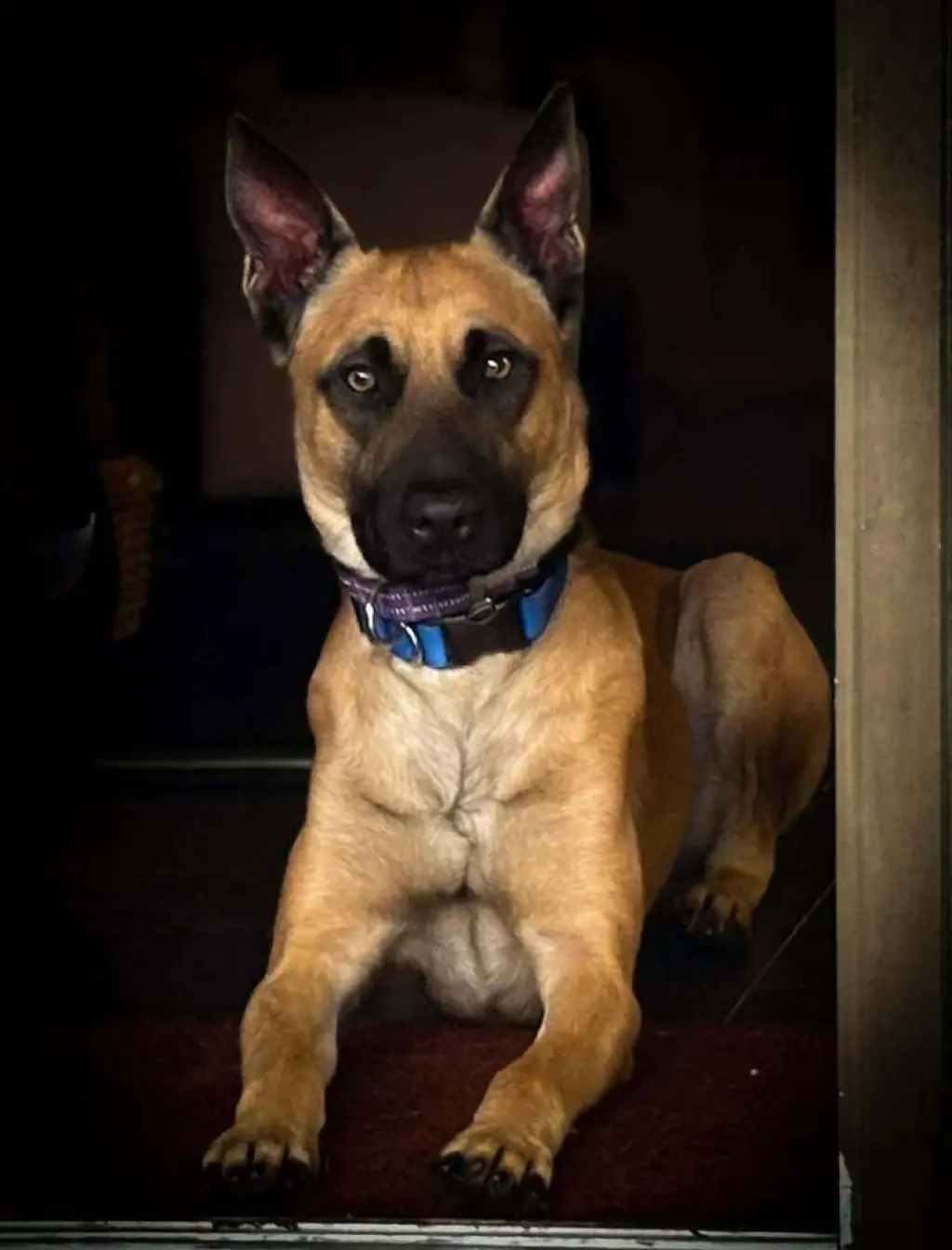 Loki - Located in NC