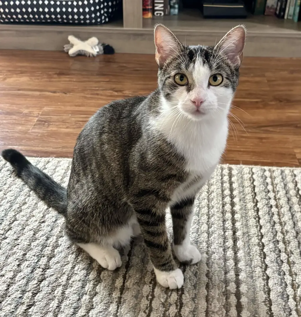 Freya