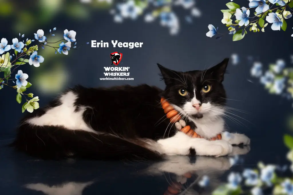 ERIN YEAGER